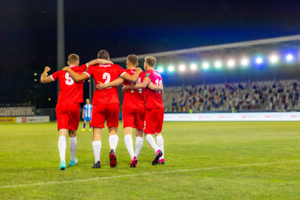 所需的补充 所需的补充